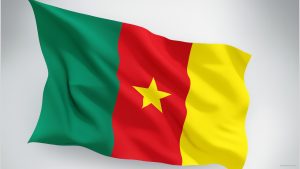 Cameroun Info net news live