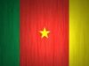 DSEP au Cameroun Spécialités technologiques conduisant à l’obtention du Diplôme Supérieur d’Etudes Professionnelles Cameroun