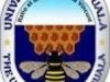 Université de douala Cameroun : The University of Douala