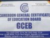 Cameroon GCE A Level French syllabus
