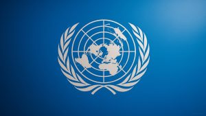 The United Nations Office at Geneva - United Nations Young Professionals Programme YPP