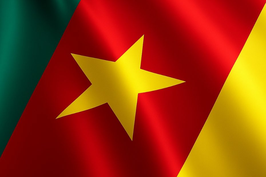 Cameroon Application file for scholarship offer / dossier de demande de bourse