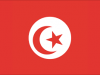 MINESUP Tunisian Scholarships Guide For Cameroonian applicants.