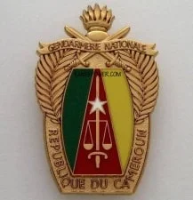 Gendarmerie Nationale Camerounaise MINDEF Cameroun Recrutement l’Armée de l’Air 2023-2024