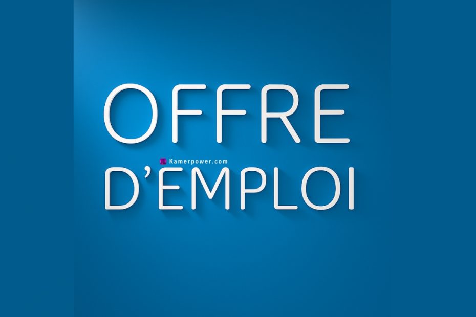 offres d'Emploi au Cameroun. Les dernières offres d'Emploi 2026-2027