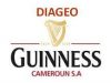 Guinness Cameroon recruitment: Sales agents diageo careers
