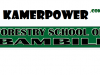 ENEF Bambili 2024-2025 Entrance: Forestry School Bambili