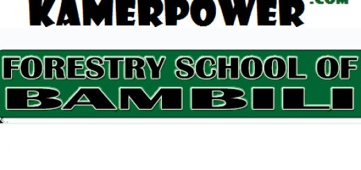 ENEF Bambili - Forestry School of Bambili eaux et forets Bamenda