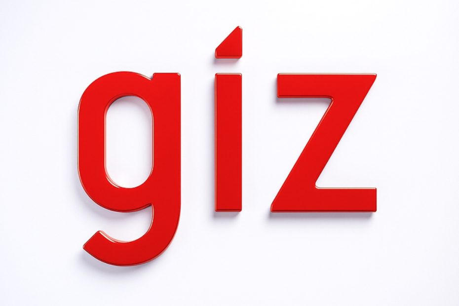 giz Cameroun recrutement 2026-2027 offre d'emploi coopération allemande au développement