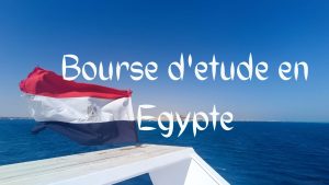 Bourse d'etude en Egypte 16 bourses d’études universitaires