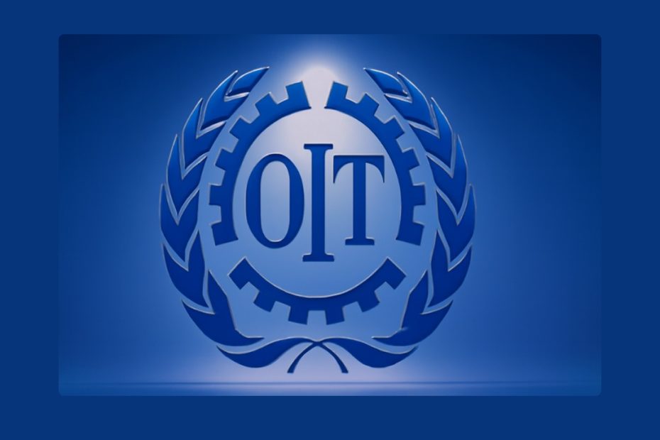 OIT Cameroun recrutement 2026-2027 2028
