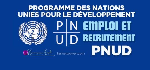PNUD Cameroun recrutement 2026-2027 pnud cameroun offre d'emploi
