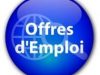 Comment travailler dans une ong au Cameroun