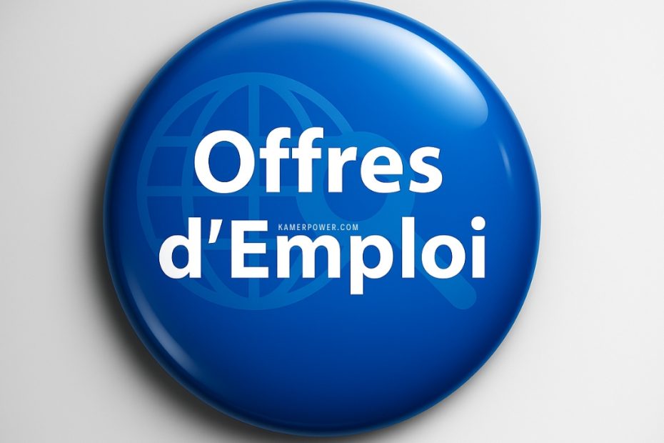 Tchad avis de recrutement 2026-2027 offre d'emploi au tchad