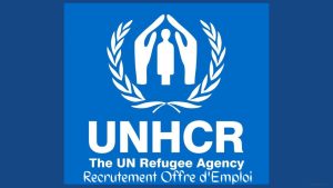 UNHCR cameroun recrutement offre d'emploi www.unhcr.org recrutement