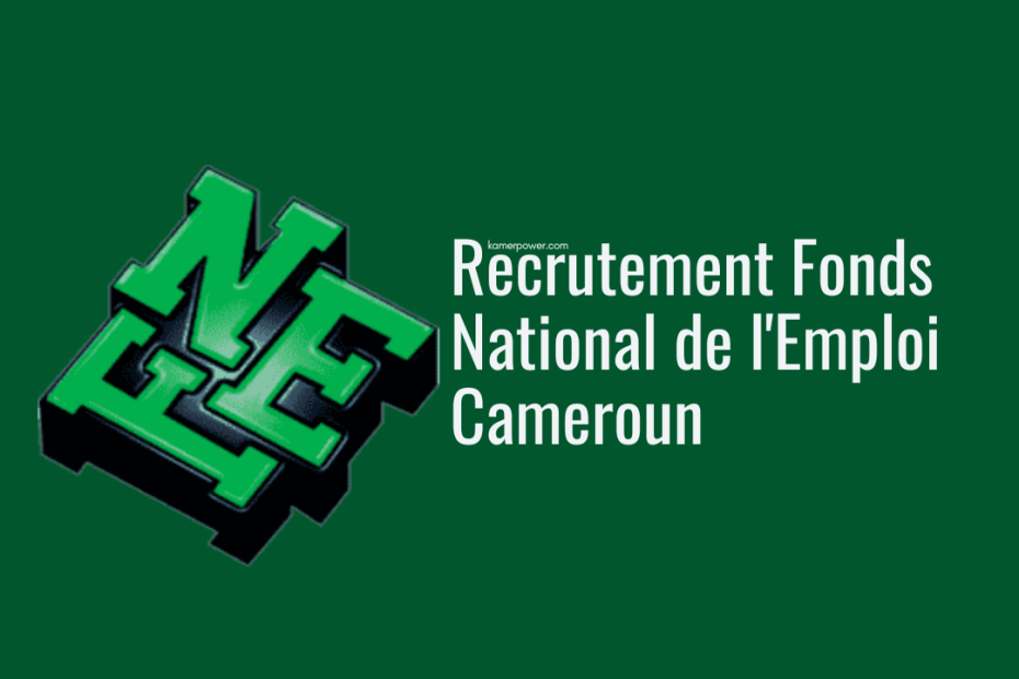 Fonds National de l'Emploi recrutement Cameroun Offres d'emploi au FNE Cameroun Fonds National de l'Emploi.