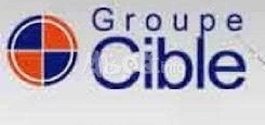 Groupe Cible RH Cameroun offre d'emploi Directeur Financier