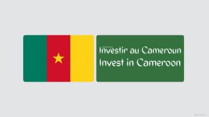 Investir au Cameroun avec moins d'un million