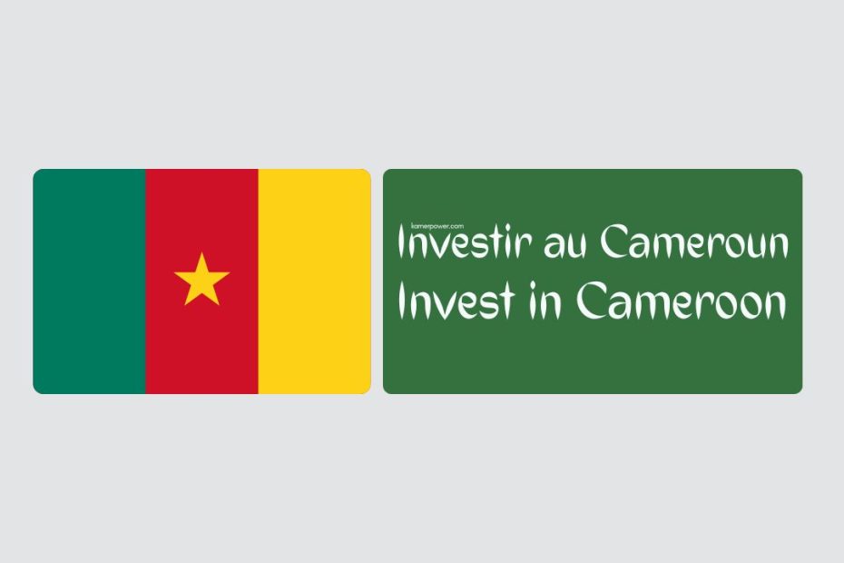 Investir au Cameroun avec moins d'un million