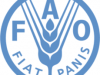 Programme de bourses de l’Organisation des Nations Unies FAO 2024