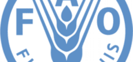 FAO cameroun recrutement Offre d'Emploi