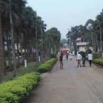 Saint Francis Higher Institute of Nursing and Midwifery accreditation