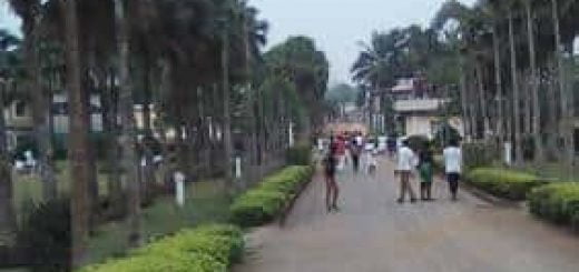 Saint Francis Higher Institute of Nursing and Midwifery accreditation