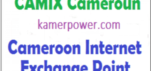 CAMIX Cameroun Recrutement Cameroon Internet Exchange Point offre d'emploi
