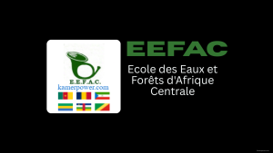 Concours EEFAC Ecole des Eaux et Forêts d'Afrique Centrale Bafoussam Cameroun