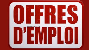 Offre d'emploi à yaoundé 2026-2027 Cameroun douala en cours au Cameroun