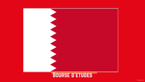 Bourse d'etudes Université du Quatar Etudier l'arabe au Qatar 2026-2027 propose une bourse d’étude pour apprendre la langue arabe, 2026