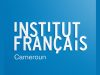 Offre de stage à IFC Institut Français du Cameroun : Stagiaire pour l’etude des publics