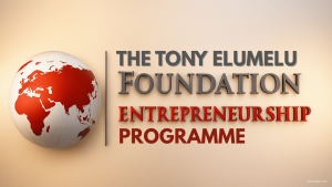 Tony Elumelu Foundation Entrepreneurship Programme 2026 2027 Cycle APPLICATION PROCESS