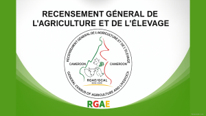 Recrutement RGAE Cameroun 2026-2027 MINADER MINEPIA Agents Recenseurs et Contrôleurs Information Technology