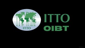 Bourse OIBT 2026-2027. Programme de bourses de l'OIBT Organisation Internationale pour les Bois Tropicaux