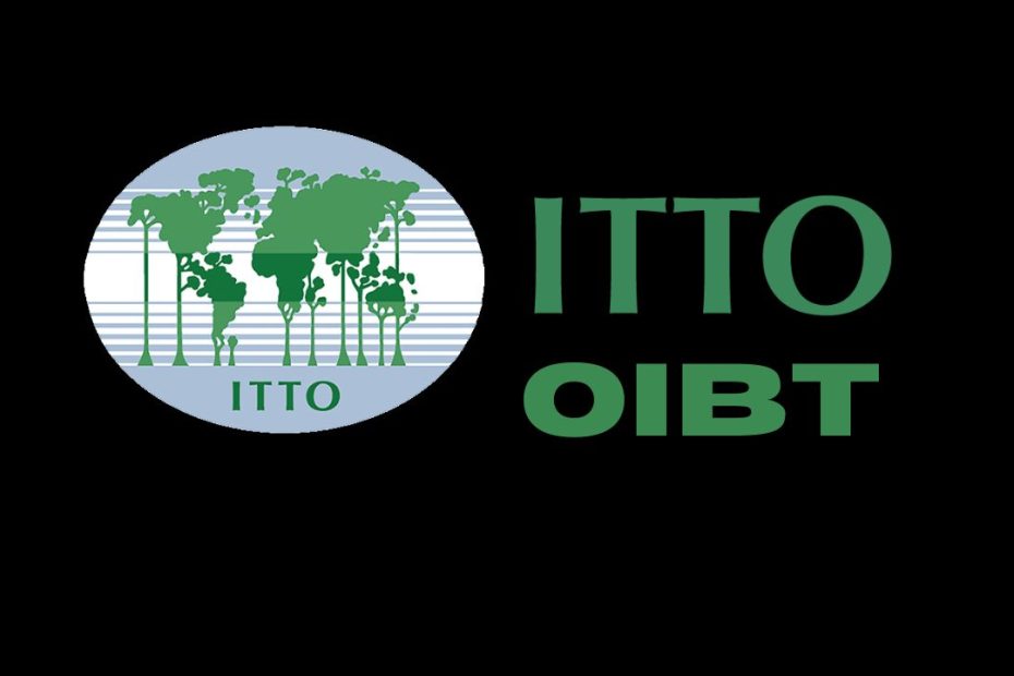 Bourse OIBT 2026-2027. Programme de bourses de l'OIBT Organisation Internationale pour les Bois Tropicaux