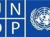 Youth 4 Climate Initiative Candidatures Ouvertes (Y4C) PNUD