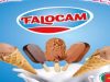 Falocam SARL Avis de recrutement: Manutentionnaire/ Préparateur Production