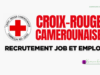 Recrutement Croix-Rouge Française et Camerounaise: Formateur à l’analyse de l’eau