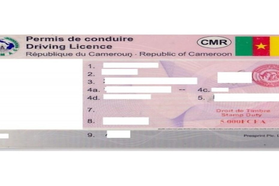 Permis de conduire camerounais valable en france Obtenir un permis de conduire international