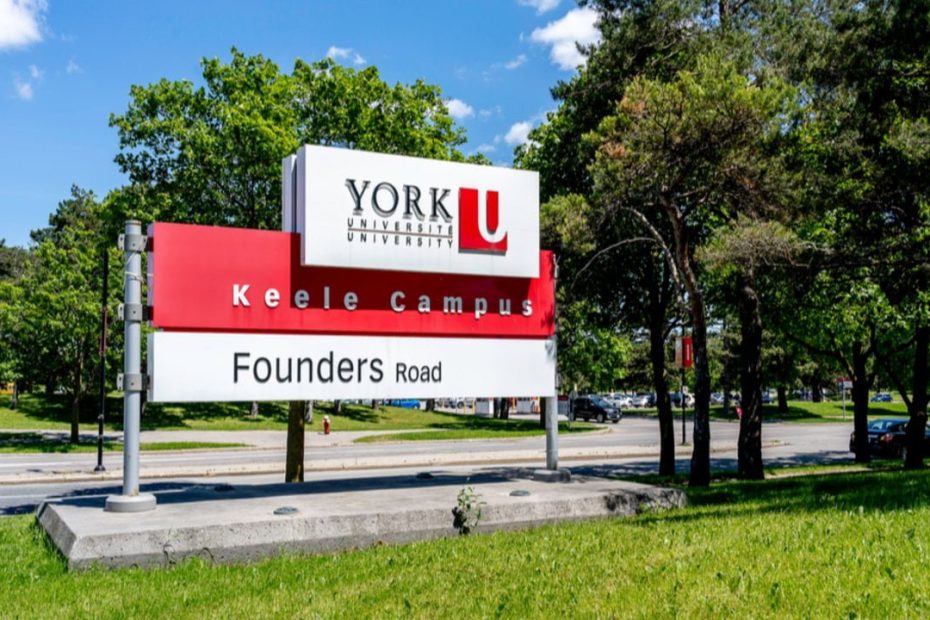 York University Toronto Acceptance Rate 2026-2027 Fees for international students Admission