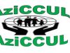 Azire Cooperative Credit Union Limited (AziCCUL) Job Vacancy: IT Technician