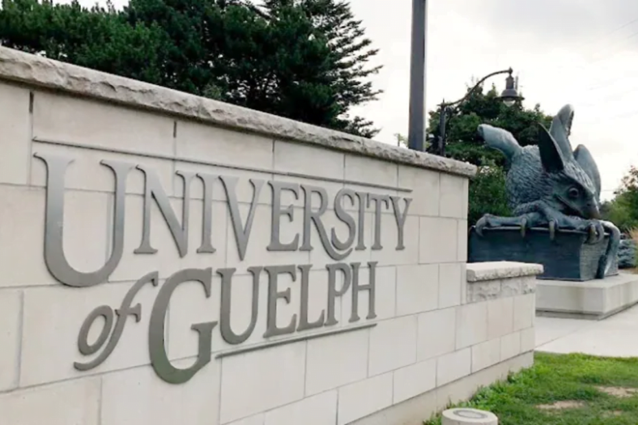 University of Guelph Acceptance Rate 2026-2027 admission and fees