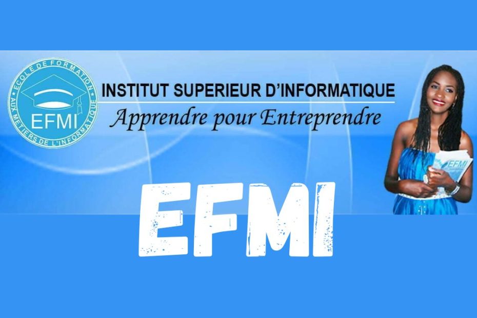 EFMI (ecole de formation aux metiers de l'informatique mbour senegal) - Ecole De Formation To Crafts De L'informatique