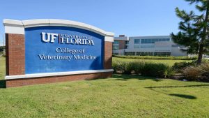20 VET Schools In The World 2026-2027 Top Veterinary Colleges