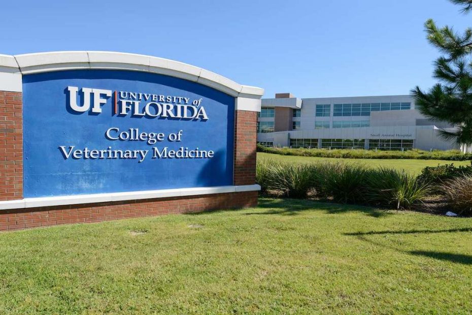 20 VET Schools In The World 2026-2027 Top Veterinary Colleges