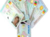 CNI au Cameroun en 48h : Pièces a fournir et Procédure