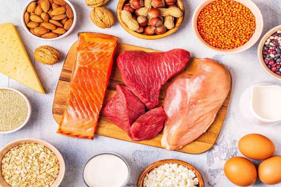 Which Of The Following Is Not A Function Of Proteins?