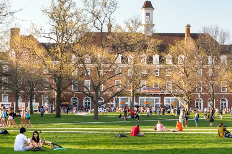 How Many College Students In The US 2025 | College Enrollment Statistics