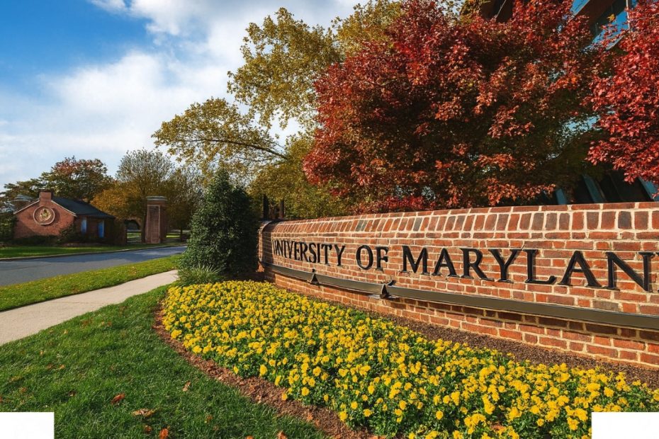 University Of Maryland Acceptance Rate GPA, SAT | Is getting into University of Maryland Hard?